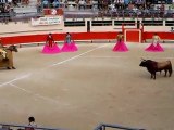 Corrida de Prieto de la Cal: Piques 2d toro