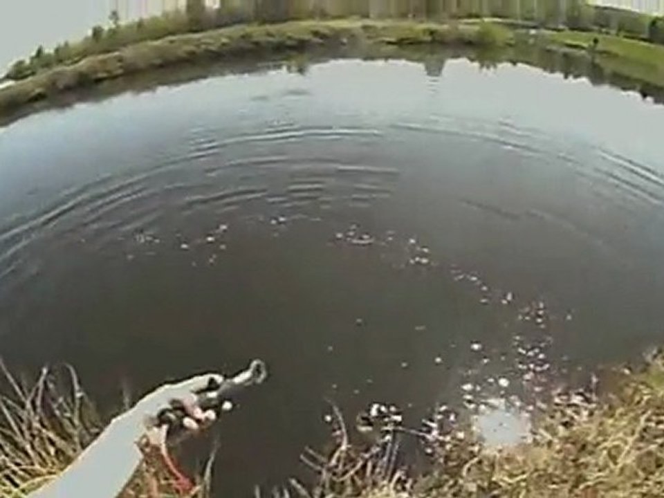 Dueling Pike