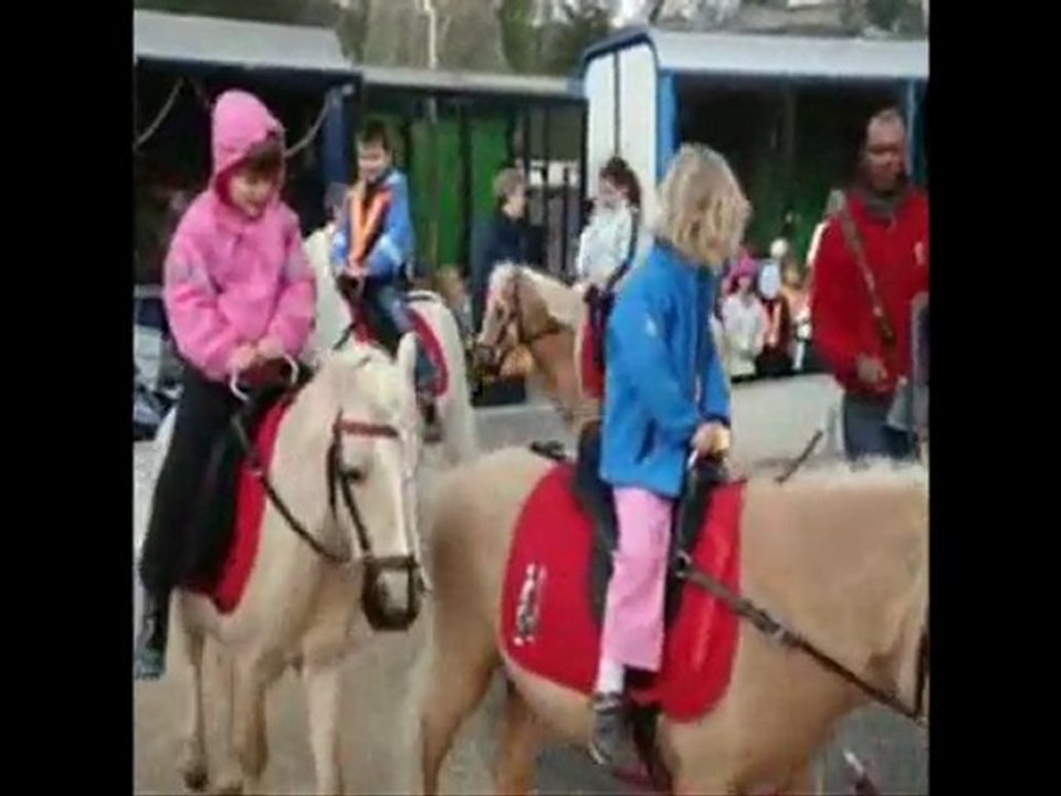 nguoi choi ngua_0001 va voi