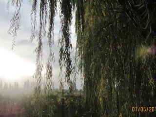 SCHOENSTATT - FEDERACIÓN DE FAMILIAS. CURSO 28 - ARGENTINA