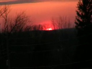 Why I Love Science 🌟