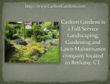 Bethany Landscaper Gardener Lawn Care in Woodbridge CT