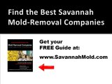 Savannah Mold Removal Companies - Don't Get Ripped Off by S