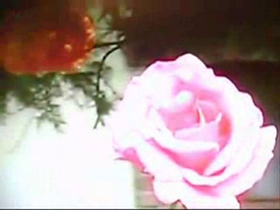 FUNDA ARAR - SENSİZLİK