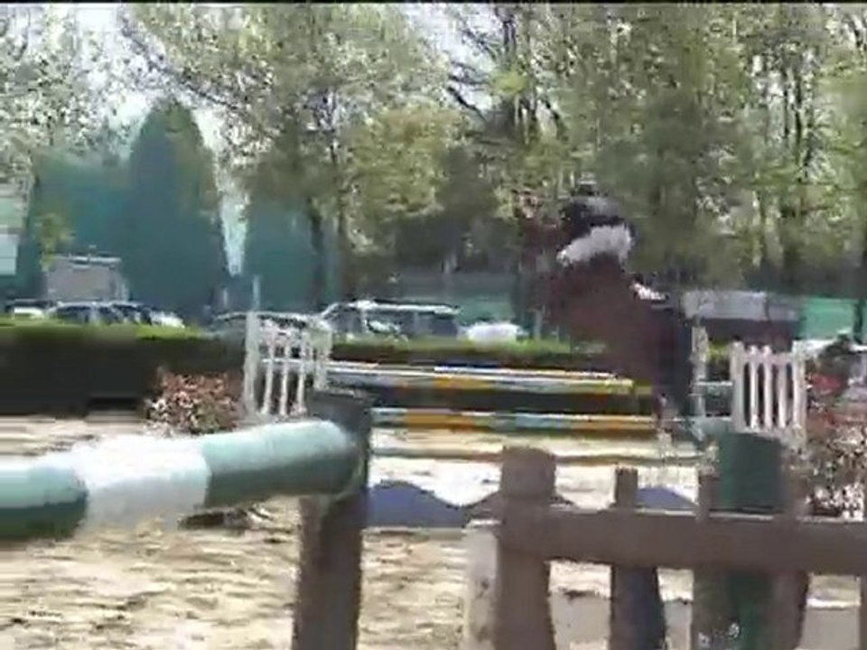 Météor La Roche/Yon 1.35m dimanche