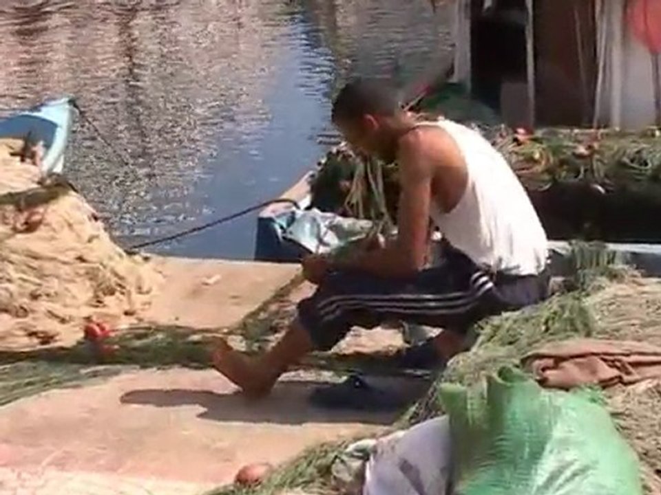 Alger 2005