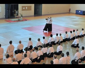 STAGE AIKIDO AVEC ALAIN PEYRACHE EN BRETAGNE (22)