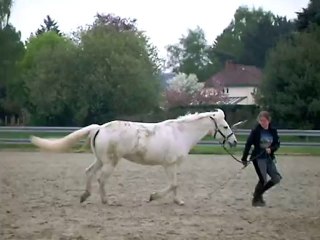 travail à pied avec Mayoa 09.05.10