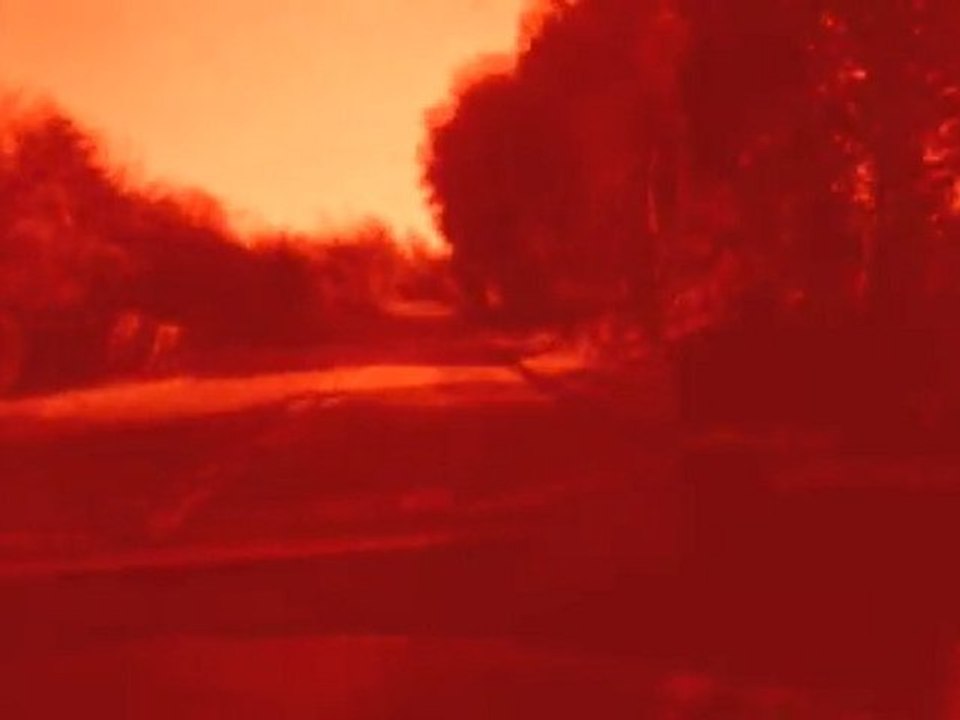 Transect