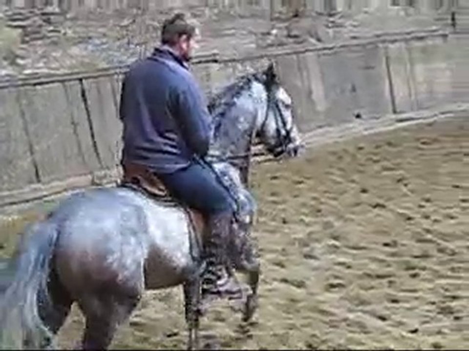 Alcacer au galop