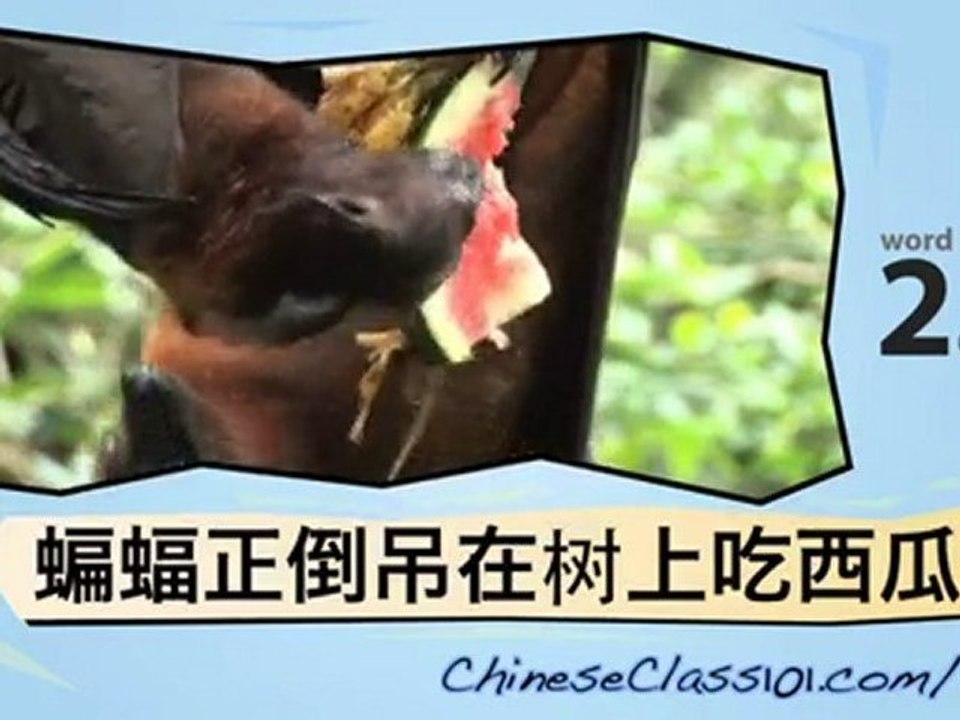 Learn Chinese-Learn with Chinese jungle animals video