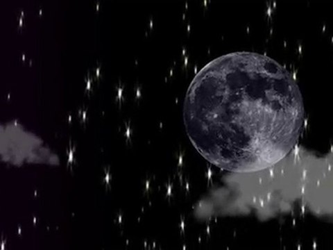 Prezentacja drużyny Traktor Volley Lublin