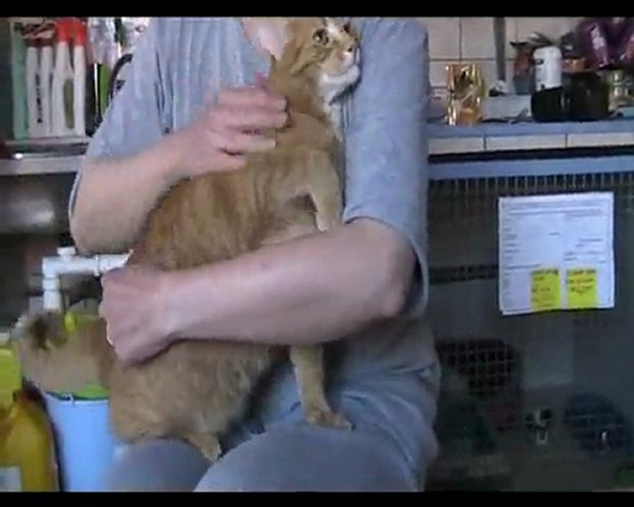 Daxter 24 avril 2010