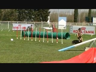 Léa & Anakin Championnat Régional 25/04/2010