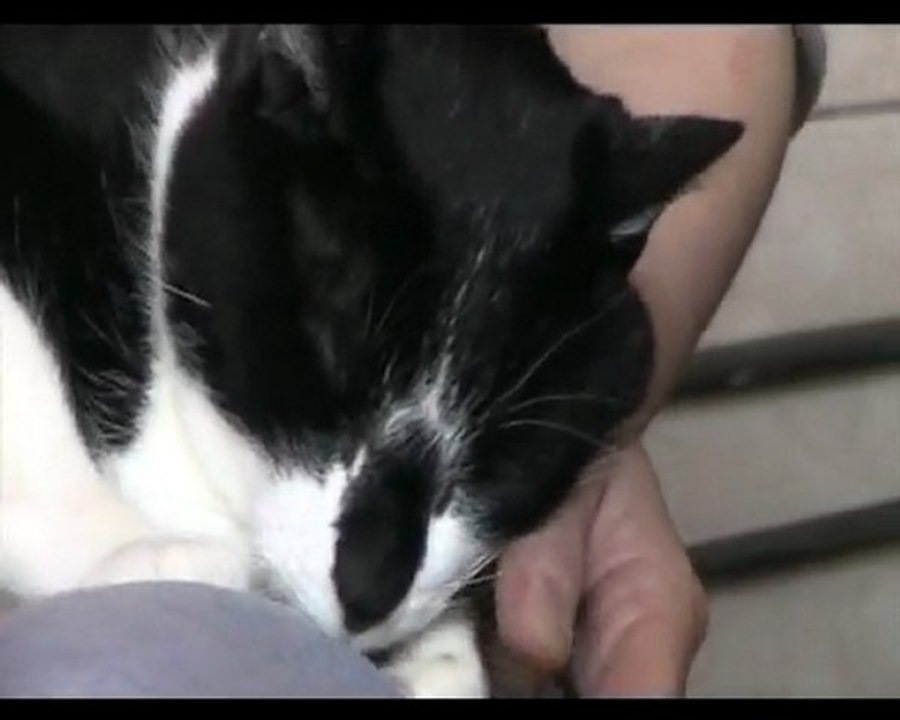 Romeo - 24 avril 2010