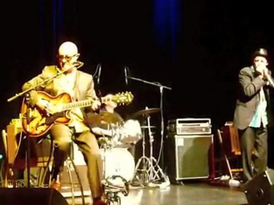 honeymen1 high rise fever