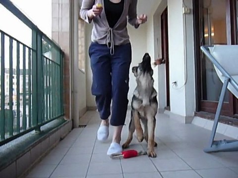 Suite aux pieds, à petits pas ^^