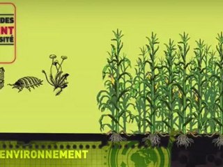 Le génie génétique