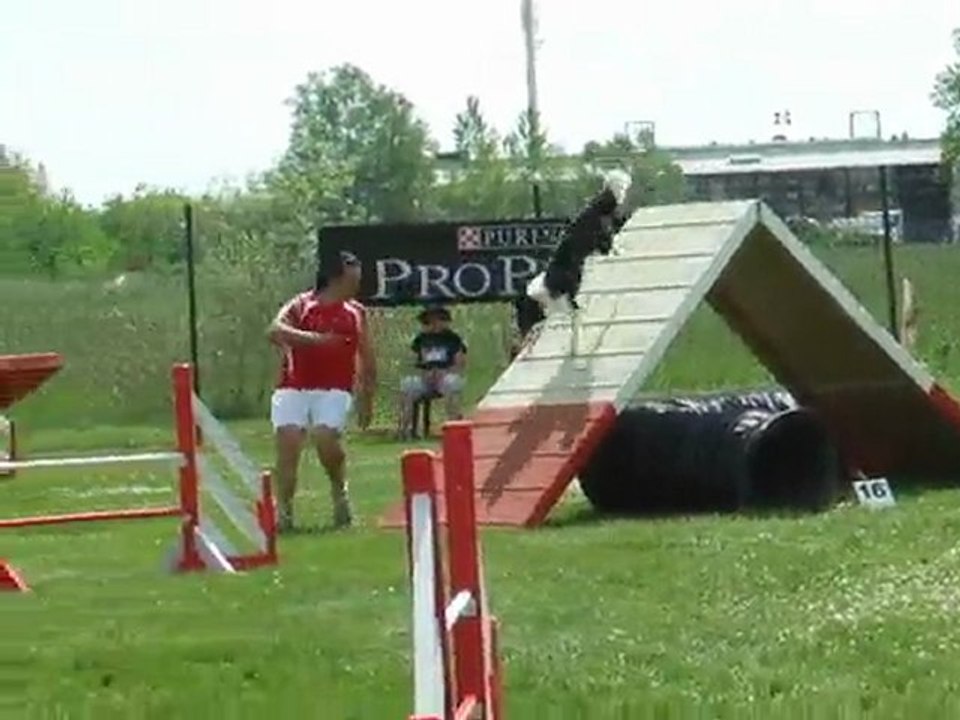 Cayenne Agility Sélectif GPF Auch 2010