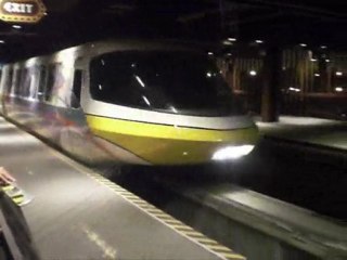 Walt Disney World Monorail System by night