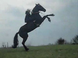 Marine et ses chevaux