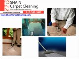 Kansas City Carpet Cleaning - Shain Carpet Cleaning