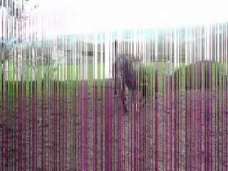 Qwenta Printemps 2010