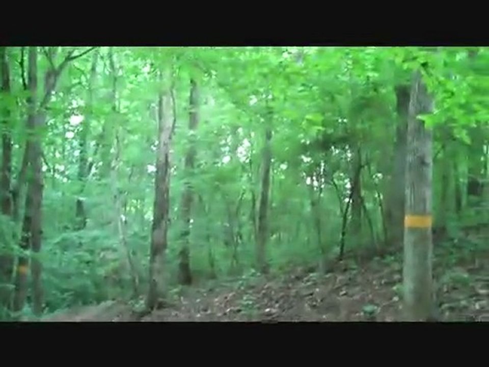 Barbara Hofmeister 3 Steps to Success + look for the pattern