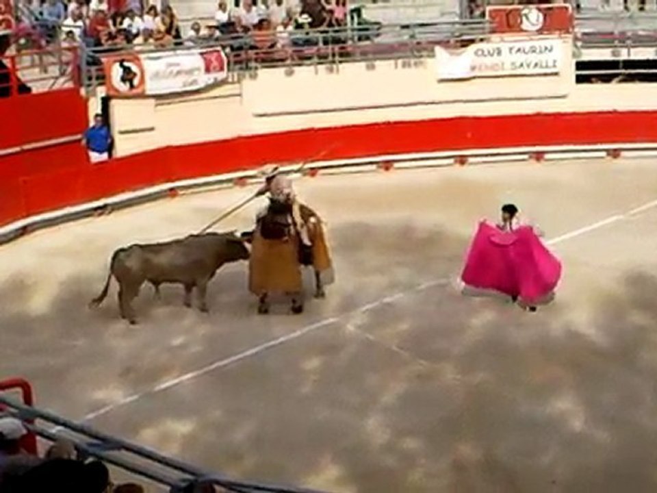 Corrida de Prieto de la Cal: Piques 3e toro