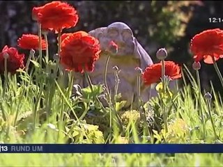 Buddhist monastery in France - zen retreats - french/german