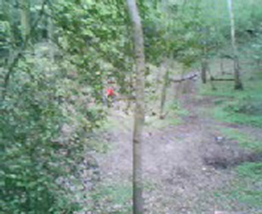vtt freeride