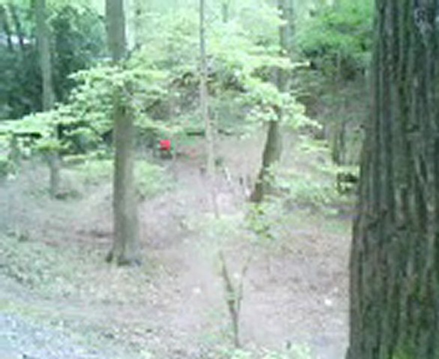 vtt freeride