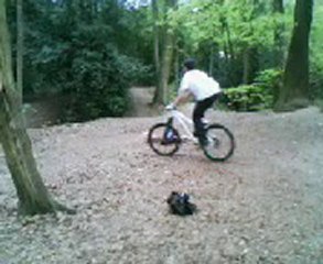 vtt freeride