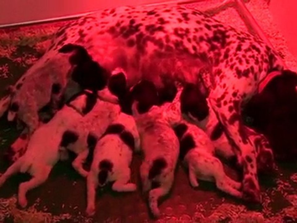 babou en famille