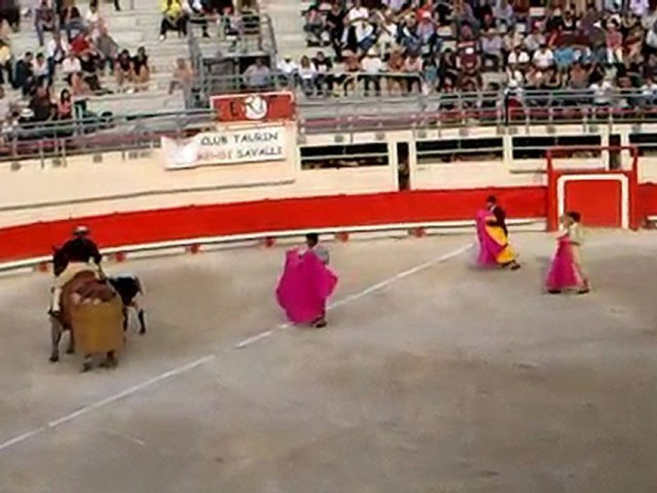 Corrida de Prieto de la Cal: Piques 4e toro