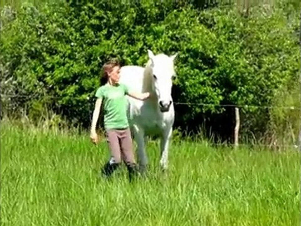 mon lama