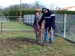 après la désensibilisation le 18 FEV 10