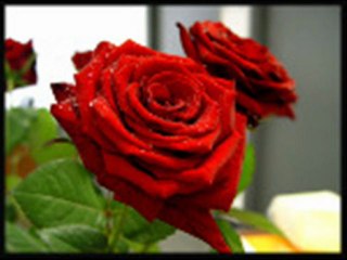 Tikai tev un vieniigi tev!