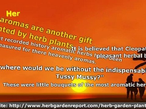 Herbs have been regarded as the perfect plants for centuries