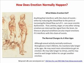 Male Penis Enhancement