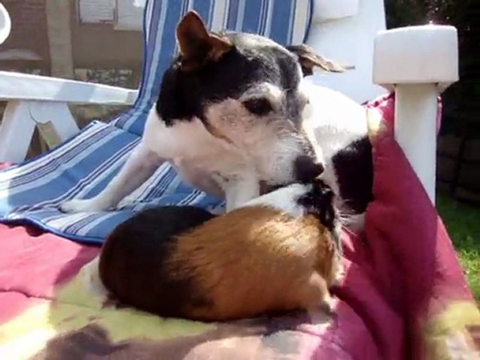 Milo & Buster en sortie le 28 04 10