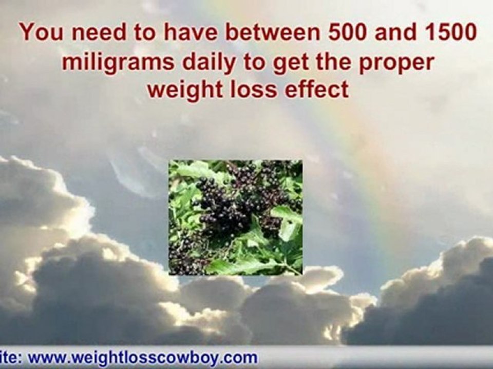 How To Lose Weight With Acai Berry