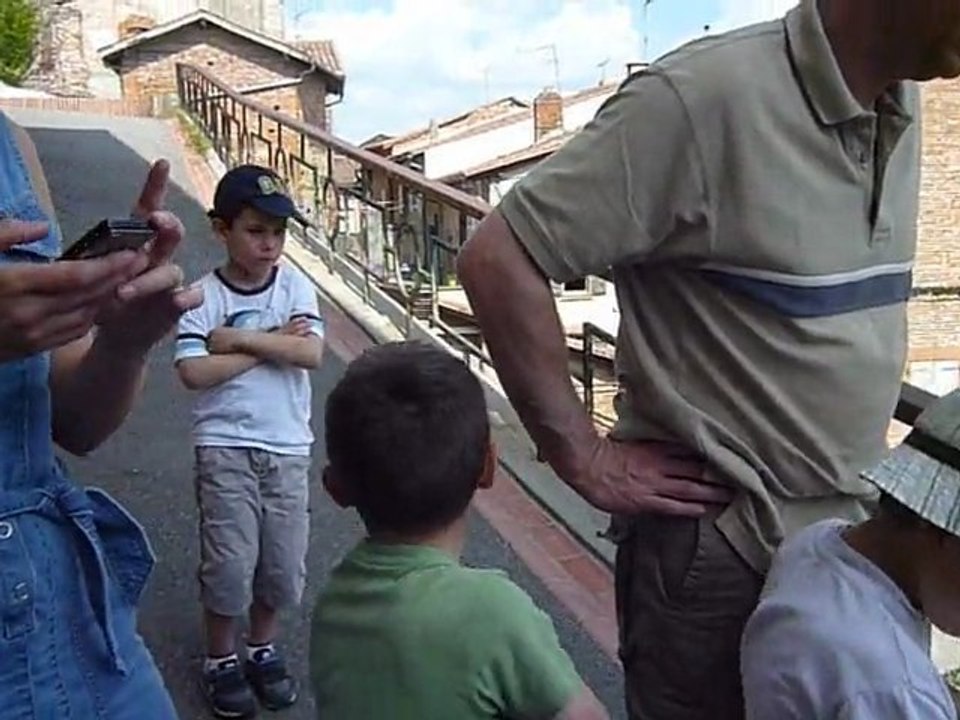 Essaim   Verfeuil 25.04.2010