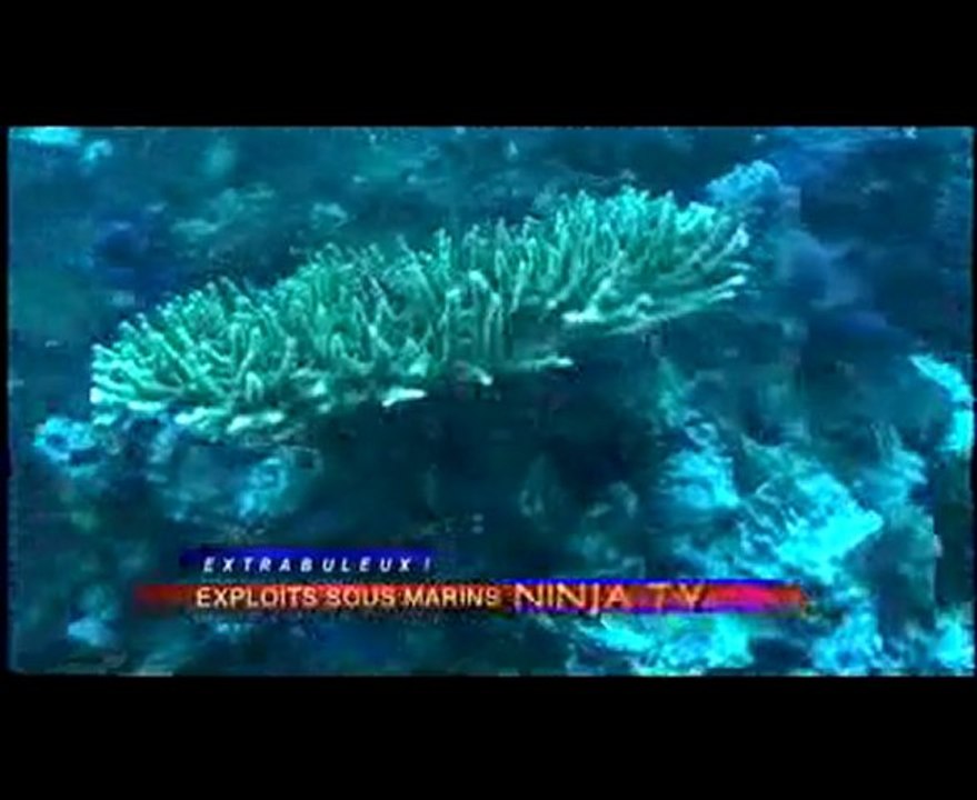 LE PLUS JEUNE PLONGEUR AU MONDE