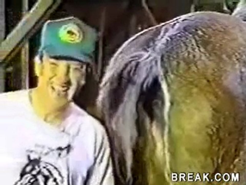 Cheval pêteur
