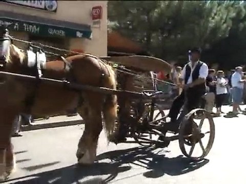 st gilles Défilé à l'ancienne en petite camargue