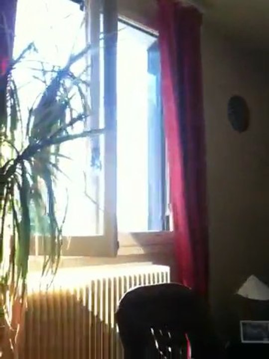 Maison city
