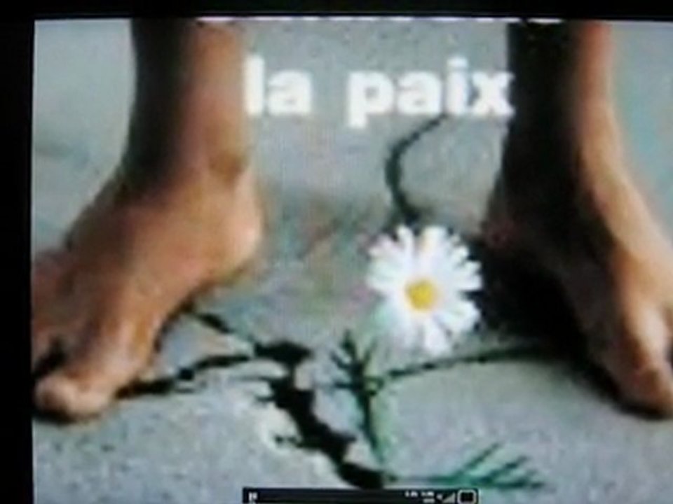 candidature Reportour