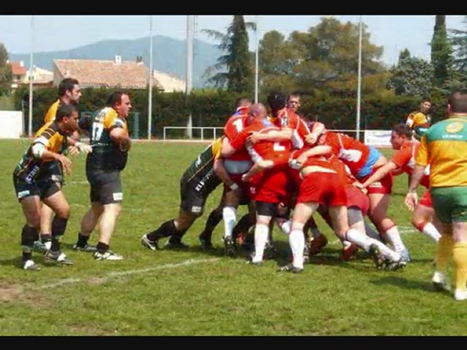 chiens poubelle rcch valence le 25/04/10