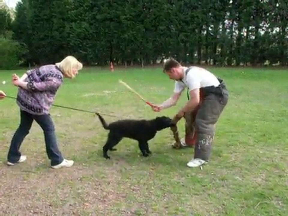 Flame apprentissage mordant suite 3 mois 1/2 / A